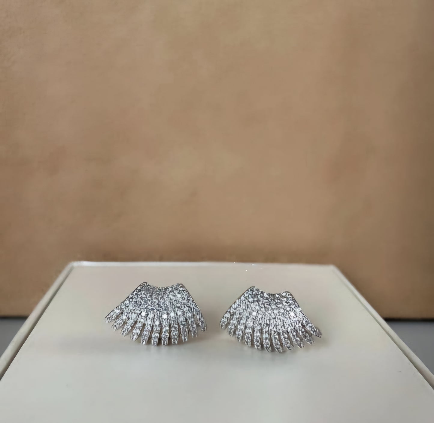 Orecchini in argento