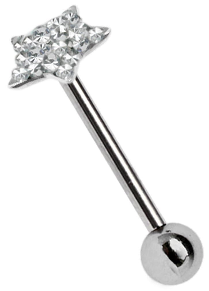 Piercing in argento